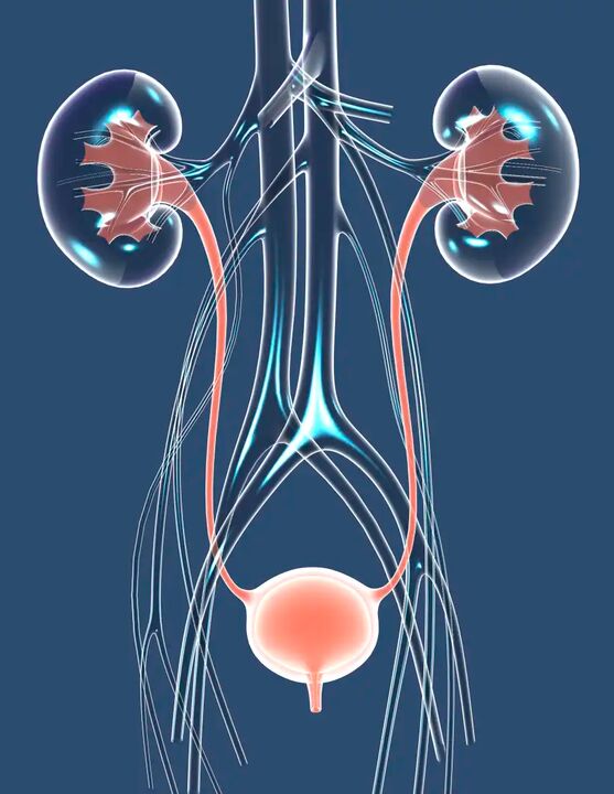 Ilustrație de sănătate masculină sănătoasă
